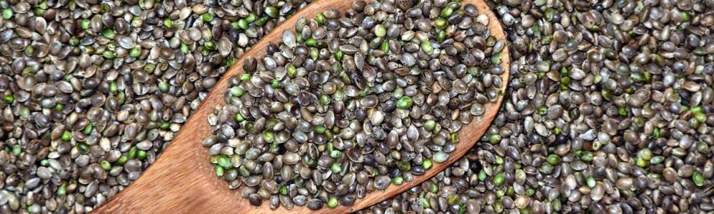 hemp, cannabis seeds, grains